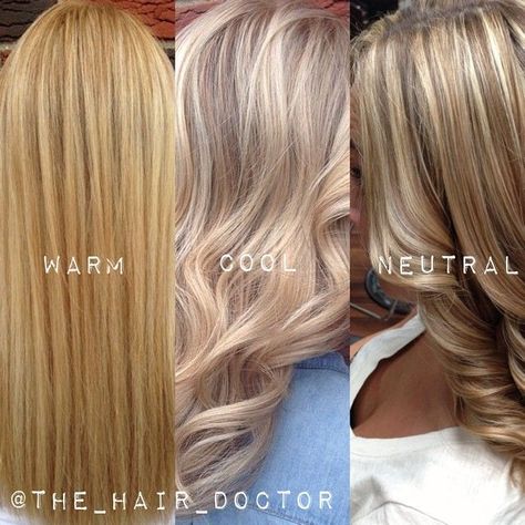 Need help deciphering exactly what the difference is between warm, cool and neutral blondes? Try putting together a compilation of your own work to show your clients the difference. Here's a visual guide to show you the differences. Different Color Blondes, Tmavý Blond, Neutral Blonde, Cool Blonde, Hair Color And Cut, Hair Coloring, Hair Envy, Great Hair, Blonde Hair Color