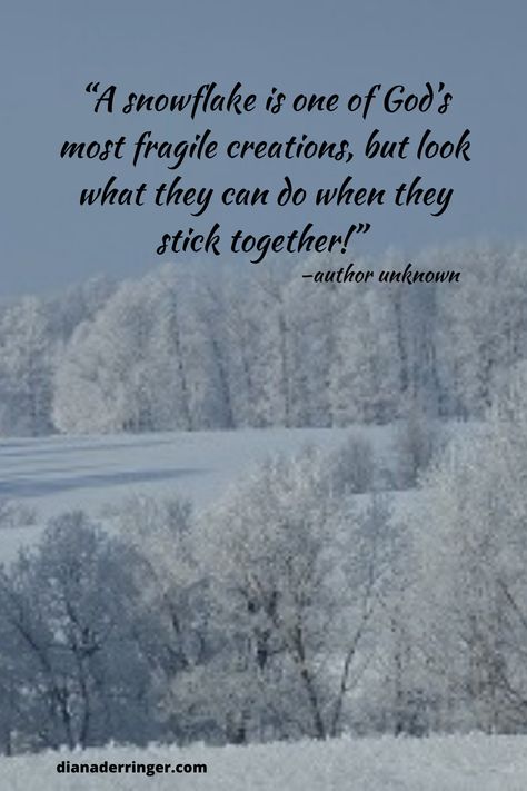 Snowflake Meaning, Snowflake Quote, Peace Photography, Snow Quotes, Photography Motivation, Quotes Peace, Spiritual Truth, Words Of Hope, How To Make Snow