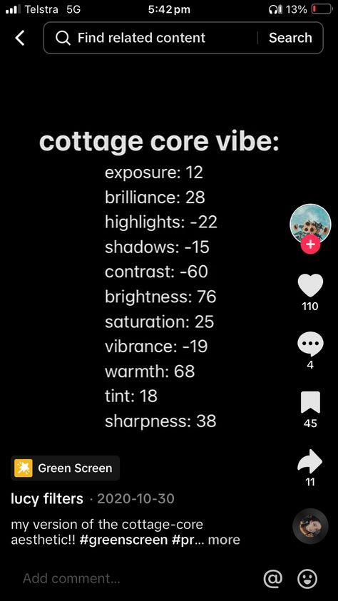 Cottagecore Photo Editing Iphone, Cottage Core Filter Iphone, Photo Editing Formulas Iphone, Cottage Core Filter, Filter Ideas, Camera Ideas, Random Tips, Photo Hacks, Vintage Photo Editing