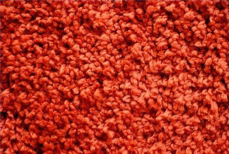 How to Keep Cut Carpet From Fraying thumbnail Silver Grey Carpet, Orange Shag Carpet, Carpet And Rug, Flooring Diy, Carpet Repair, Chicken Ranch, Deep Carpet Cleaning, Carpet Remnants, Diy Home Accessories