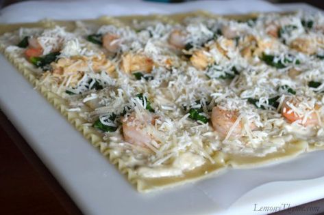 Seafood Lasagna Roll Ups, Shrimp Lasagna Recipe, Cheesy Lasagna Recipe, Shrimp Lasagna, Salmon Lasagna, Lasagne Roll Ups, Appetizers Seafood, Seafood Appetizers Easy, Lasagna Rolls Recipe