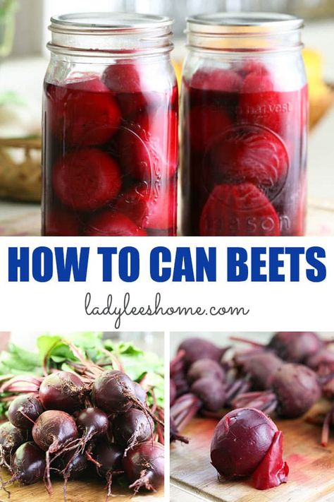 Learn how to can beets at home so you can use them year-round and for long term storage. Canning beets is simple and doesn't take too long. Beets need to be pressure canned whole or sliced. I'll show you how to easily can beets in this picture tutorial. Pressure Canning Beets, Canned Beets Recipe, Canning Veggies, Canned Pickled Beets, Canning Beets, Preserving Vegetables, Freezing Vegetables, Easy Canning, Pressure Canning Recipes