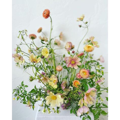 S E V A D E S I G N on Instagram: “an airy arrangement highlighting apricot cosmos for @gatherflora at @sfflowermart last week. what a delight to design solely with the most…” Aster Flower Arrangement, Apricot Cosmos, Cosmos Arrangement, Wildflower Wedding Flowers, Flowers Cosmos, Aster Flower, Wildflower Wedding, Wedding Vibes, Flower Wedding