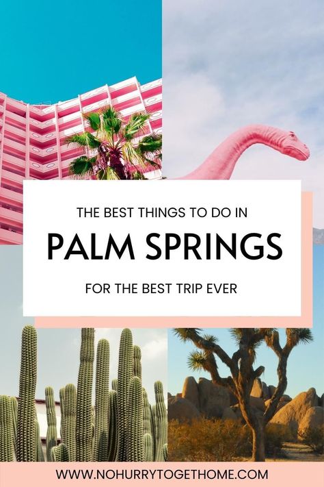 Looking for the best things to do in Palm Springs? In this guide, you'll find a list of the best things to do in Palm Springs, including photo spots, day trips, activities, attractions, and more. Best Things To Do In Palm Springs, Palm Springs In February, Palm Springs Day Trip, Palm Springs California Things To Do In, Palm Springs Activities, Palm Springs Things To Do, Things To Do In Palm Springs, Palm Dessert, Palm Springs Air Museum