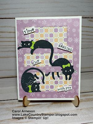 Stampin Up 2023, Cat Cards Handmade, Cat Stamp, Hello Cards, Dog Cards, Cat Cards, Su Cards, Cat And Dog, Punch Cards