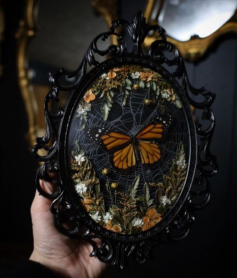 Karina Mills (Bewitched Oddities) on Instagram: "The new website listings are live including this frame I put together today! Similar to something I’ve made in the past, but with more florals this time. Monarch butterfly, real preserved orb weaver web, and dried florals in a black vintage frame." Plant Pressing, Black Vintage Frame, Butterfly Taxidermy Art, Real Butterfly Art, Entomology Decor, Bug Taxidermy, Butterfly Real, Celestial Garden, Gothic Whimsical