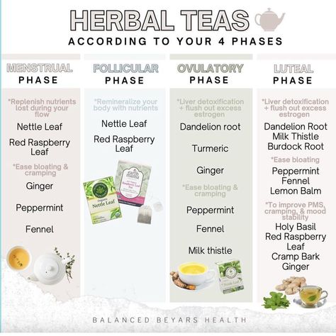 Teas For Your Cycle, Teas For Each Cycle Phase, Luteal Phase Drinks, Cycle Syncing Tea, Follicular Phase Tea, Cycle Synching, Hormone Cycle, Body Empowerment, Cycle Health