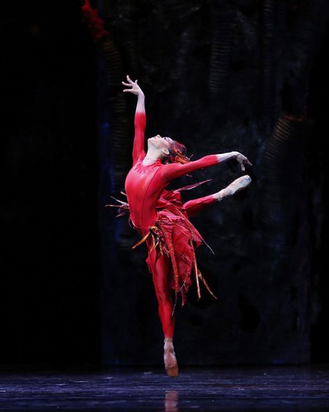 Firebird Ballet, Ballet Princess, Wayne Mcgregor, The Rite Of Spring, Costume Inspirations, Ballet Aesthetic, Costume Making, American Ballet Theatre, Misty Copeland