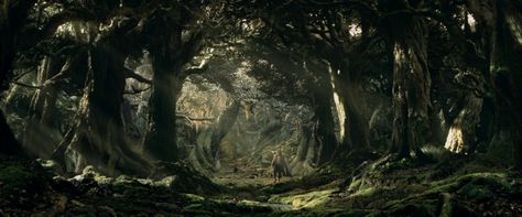 The Lord of The Rings: The Two Towers | FilmGrab Fangorn Forest, Two Towers, New Zealand Landscape, The Two Towers, Dark Pictures, Fantasy Places, The Lord Of The Rings, Legolas, Fantasy Aesthetic