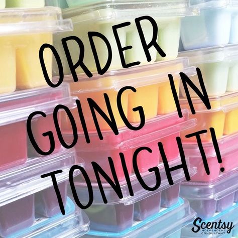 Scentsy Bulk Order Going In, Bulk Order Scentsy, Scentsy Order Going In, Scentsy Bulk Order, Scentsy Launch Party, Scentsy Spring Summer 2023, Scentsy Post Ideas, Scentsy Sample Ideas, Scentsy Order