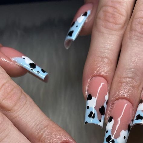 sadie 🤍 on Instagram: "blueberry cow 🫐🐄" Blueberry Cow Nails, Blue Cow Nails, Blueberry Cow, Cow Nails, Blue Cow, Mom Wedding, Trendy Nails, Cute Nails, Nail Inspo