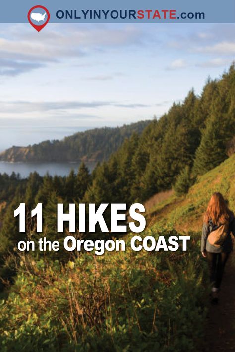 Travel | Oregon | Hikes | Hiking | Coastal Hikes | Scenic Hikes | Amazing Places | West Coast Oregon Coast Hikes, Oregon State Parks, Visit Oregon, Travel Oregon, Oregon Life, Southern Oregon Coast, Explore Oregon, Oregon Hikes, Ecola State Park