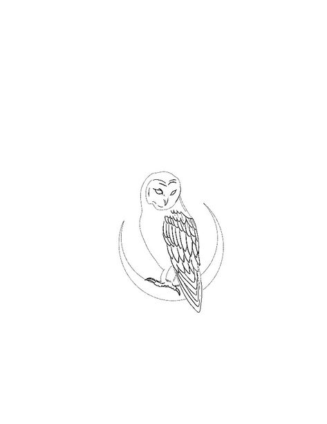 Owl On Moon Tattoo, Owl Small Tattoo, Owl Tattoo Aesthetic, Small Owl Drawing, Single Line Owl Tattoo, Owl Of Athena Tattoo, Small Owl Tattoos For Women Simple, Dainty Owl Tattoo, Fiz Lorsman Tattoo