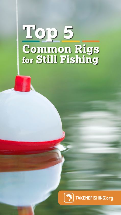 where do you put a bobber? Do you need a sinker? We can help.  Check out the most common rigs for still fishing. https://bit.ly/3TIcpcV Bottom Fishing Rigs, Catfish Rigs, Fish Types, Crappie Fishing Tips, Fishing Hacks, Fishing Basics, Bottom Fishing, Fall Fishing, Fishing For Beginners