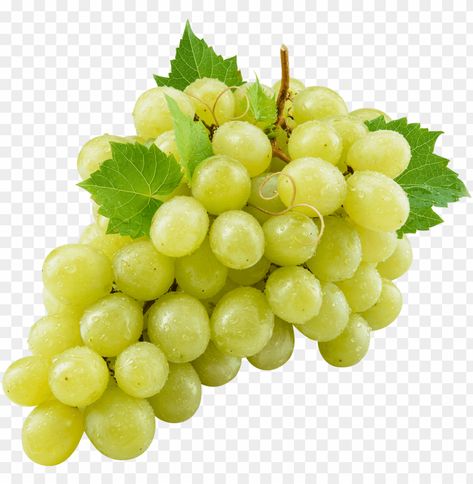 Grape Pie, Fruit Nutrition Facts, White Wine Grapes, Tutti Frutti Party, Justin Time, White Grapes, Background Png Images, Eid Images, Fruit Nutrition