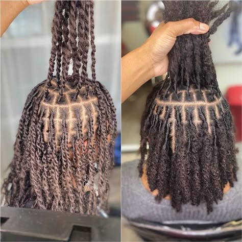 Two Strand Twist Starter Locs Budding, Two Strand Starter Locs Journey, Two Strand Twist Natural Hair Locks, Natural Hair Locs Twists, 3 Month Starter Locs 2 Strand, Hairstyle For Starter Locs, 4c Hair Starter Locs, Matured Two Strand Twist Locs, Starter Loc Sizes 4c