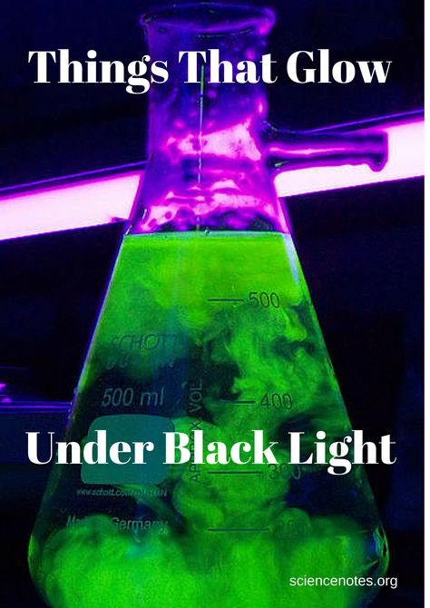 30+ Things That Glow Under Black Light Things That Glow, Glow Party Outfit, Diy Black Light, Black Light Room, Neon Party Outfits, Glow Party Decorations, Glow In Dark Party, Glow Halloween, Glow Birthday Party