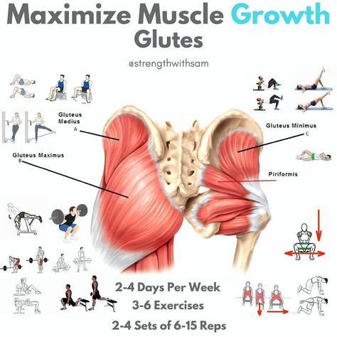 Glute Growth, Glutes Exercises, Stomach Exercises, Human Movement, Gluteus Medius, Motivation Pictures, Hip Mobility, Yoga Positions, Glute Workout