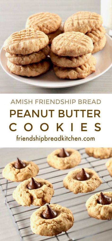 Amish Bread Starter Recipes, Bulk Mixes, Amish Breads, Amish Starter, Amish Bread Starter, Amish Cookies, Bread Peanut Butter, Best Amish Recipes, Amish Bread Recipes