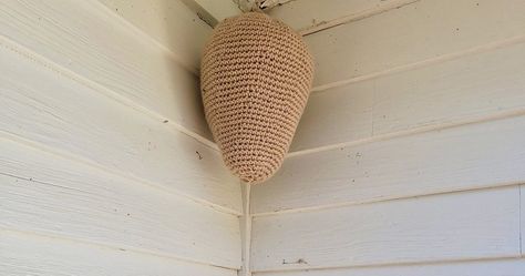 Crocheted Nest Keeps Hornets Away for Years Woman crocheted a wasp nest look-alive to trick the hornets into thinking others already lived there. She hung it up 4 years ago and hasn’t had “a single one since.” Read the full story by clicking here: https://magazine.womenssuite.com/crocheted-nest-keeps-hornets-away-for-years/ Fake Wasp Nest, Wasp Killer, Hornets Nest, Wasp Nest, Home Design Magazines, Bees And Wasps, Garden Architecture, Wasp, Hornet