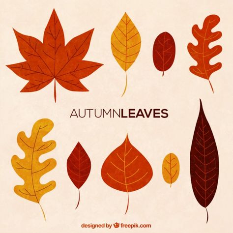 More than a million free vectors, PSD, photos and free icons. Exclusive freebies and all graphic resources that you need for your projects Fall Leaves Drawing, Valentine Wallpapers, Leaf Collection, 동화 삽화, Leaf Illustration, Autumn Illustration, Leaf Drawing, Leaves Vector, 자수 디자인