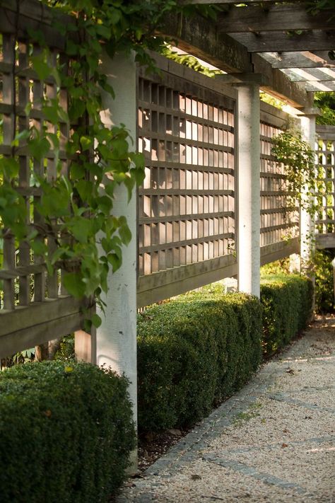 On the side of a wood pergola, landscape architect Janice Parker installed a lattice trellis to help vines and climbers grow. “The combination [of pergola and trellis] provides the ideal support structure for growing perennials for additional privacy and shade, Garden Privacy Screen, Pergola Carport, Privacy Fence Designs, Privacy Landscaping, Patio Pergola, Pergola Ideas, Garden Privacy, Wood Pergola, Backyard Privacy