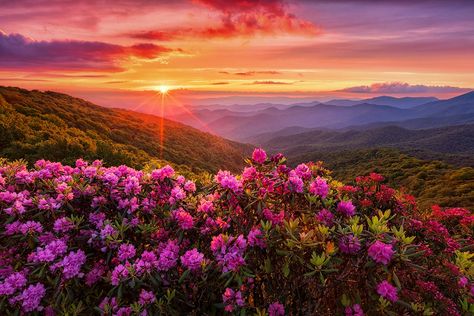 Pink Sky Landscape, Mountain Summer, Scenic Pictures, Cute Summer Wallpapers, The Appalachian Trail, Purple Sunset, North Carolina Mountains, Sky Landscape, Amazing Sunsets