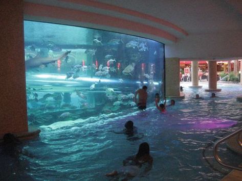 An underwater aquarium/pool Golden Nugget Las Vegas, Underwater Aquarium, Aquarium Pictures, Aquarium Architecture, Golden Nugget, Water Aesthetic, Aquarium Design, Water Slide, Water Slides