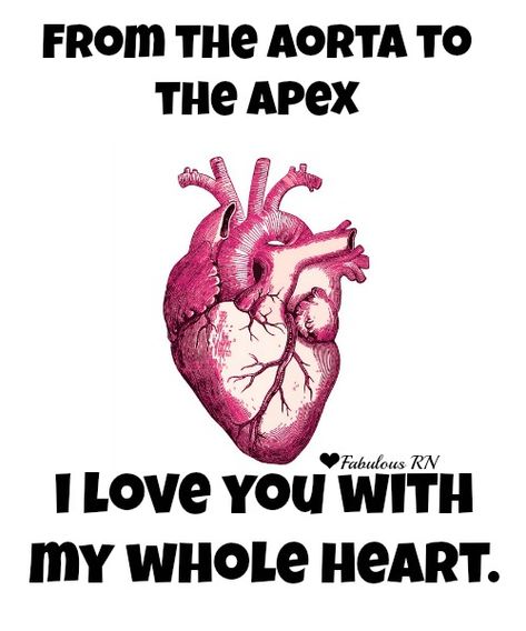 From the aorta to the apex, I love you with my whole heart. Nurse humor. Nursing funny. Registered Nurses. RN. Medical. Hospital. Anatomical Heart Valentine. Nurses Valentine's Day Card. Fabulous RN. Medische Humor, Medical Jokes, Medical Memes, Nursing Fun, Nurse Tote Bag, Health Humor, Nurse Tote, Phone Quotes, Nurse Rock