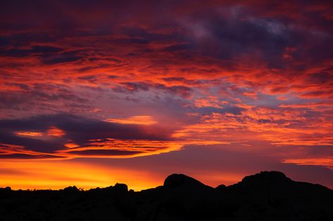 Desert Sunset at Joshua Tree National Park - It doesn’t happen very often, but every once in awhile all the necessary elements for a perfect sunset align, like it did when I made this desert sunset photo at Joshua Tree National Park. http://annemckinnell.com/2014/09/18/desert-sunset-joshua-tree-national-park/ #photo #travel #California #landscape #sunset Landscape Sunset Photography, Sunsets Landscapes, Sunset Sky Landscape, Sunset Landscape Photography, Sunset Trees, Perfect Sunset, Travel California, American Landscape, Landscape Sunset