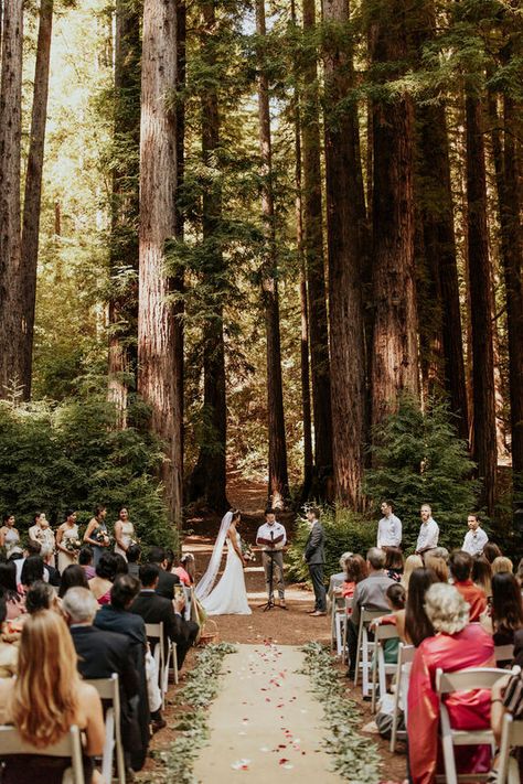 Indian and Western Redwoods Waterfall Lodge Wedding | Santa Cruz Big Sur Wedding Photographer Fall Forest Wedding, Big Sur Wedding Venues, Future Motivation, Redwood Forest Wedding, Forest Wedding Ceremony, Twilight Wedding, Redwood Wedding, Western Themed Wedding, Forest Theme Wedding