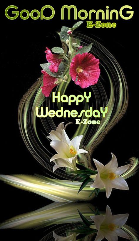 Wednesday Pictures, Happy Wednesday Pictures, Wednesday Morning Greetings, Morning Encouragement, Wednesday Greetings, Hump Day Humor, Good Morning Sunday Images, Morning Wednesday, Morning Words