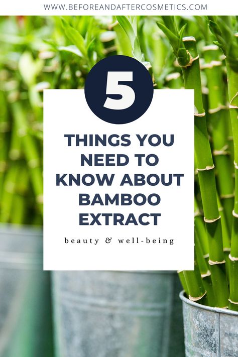 Bamboo has moisturizing, sun-protective, and skin-lightening properties, and of course, it won’t do alone, there are various topical skin care products like creams, lotions, and serum that have bamboo extract infused which are more effective. Studies have shown that bamboo extract is quite a multitasker, aside from moisturizing, it can reduce melanin production which helps dark spots away. Bamboo Extract Benefits, Diy Bamboo, Bamboo Extract, Skin Lightening, Cream Concealer, Cream Eyeshadow, Diy Skin Care, Skincare Tips, Diy Skin