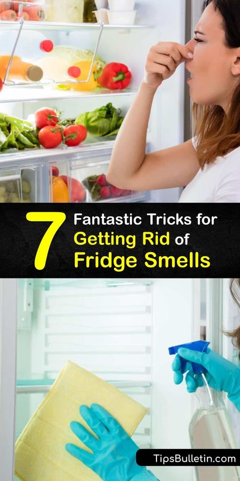 Remove odors and make your fridge smell amazing with simple home remedies made from natural items like essential oils. Use activated charcoal, essential oil bombs, vanilla extract, and baking soda to keep your refrigerator fresh. #make #fridge #smell #good Smelly Refrigerator, Fridge Odor Eliminator, Smelly Fridge, Fridge Cleaning Hacks, Fridge Smells, Fridge Deodorizer, Rotten Food, Fridge Odor, Diy Household Cleaners