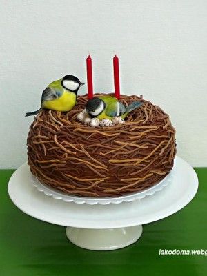 {Love the shape of the cake with two darling birds by Benja} Seasonal Cakes, Nature Cake, Twin Birthday Cakes, Bird Birthday Parties, Dad Birthday Cakes, Pinterest Cake, Friends Cake, 2 Birthday Cake, Bird Cakes