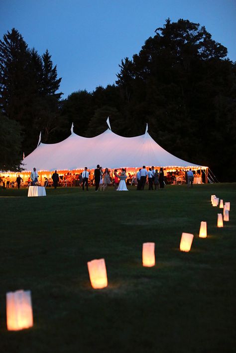 Trey Taylor, Apple Orchard Wedding, At Home Wedding, Wedding Marquee, Hamptons Wedding, Orchard Wedding, Vermont Wedding, Wedding Tent, 2022 Wedding