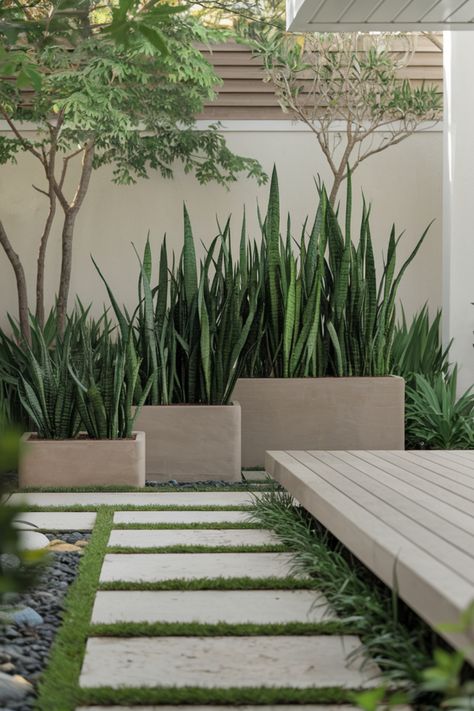 Modern garden with tall green plants in rectangular planters, a wooden deck, and stepping stones on a grassy path. Deck Decorating With Plants, Snake Plants Outdoors, Kitchen Flooring Trends, Plant Border, Decorating With Plants, Kitchen Tile Inspiration, Ensuite Bathroom Designs, Industrial Chic Kitchen, Rustic Industrial Kitchen