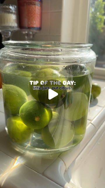 Keeping Lemons Fresh, Storing Limes In Water, What To Do With Lemons Before They Go Bad, How To Keep Limes Fresh Longer, Keep Fruit Fresh Longer, Lime Water, Healthy Food Facts, Shelf Life, Lemon Water