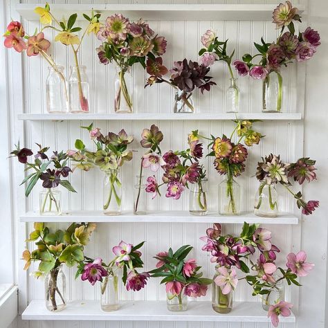 Erin Benzakein, Slow Flower, Flower Shelf, Giving Flowers, Spring Flower Arrangements, Creative Flower Arrangements, Arrangement Ideas, Cut Flower Garden, Floral Image