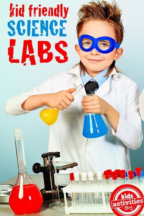 8 {Kid Friendly} Science Labs - Kids Activities Blog Kids Science Lab, Science Labs, Science Camp, Kid Experiments, Elementary Activities, Cool Science Experiments, Labrador Retrievers, Preschool Science, Elementary Science