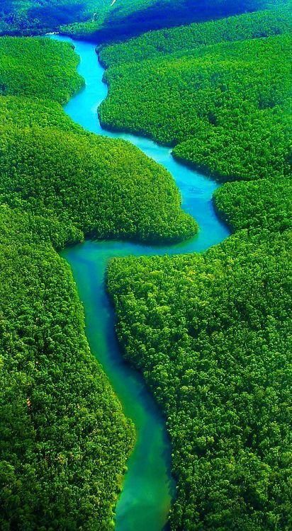 Amazon Rainforest Aesthetic, Go Green Quotes, Rainforest Aesthetic, Go Green Posters, Brazil Amazon, Free Android Wallpaper, Amazon Forest, Amazon River, Gorgeous Scenery