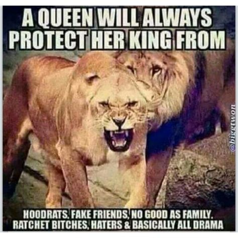 A queen will always protect her kids from hood rats, fake friends, no good family. Lioness Quotes, Tammy Rivera, Her King, Lion Quotes, Motivational Inspirational Quotes, Lion Love, King Quotes, Warrior Quotes, Fake Friends