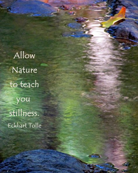 Nature reflections in water and quote by Eckhart Tolle. Water Reflection Quotes, Stillness Quotes, Still Quotes, Elkhart Tolle, Be Still Quotes, The Beauty Of Silence, Life Path 9, Nature Quotes Beautiful, Breath Meditation