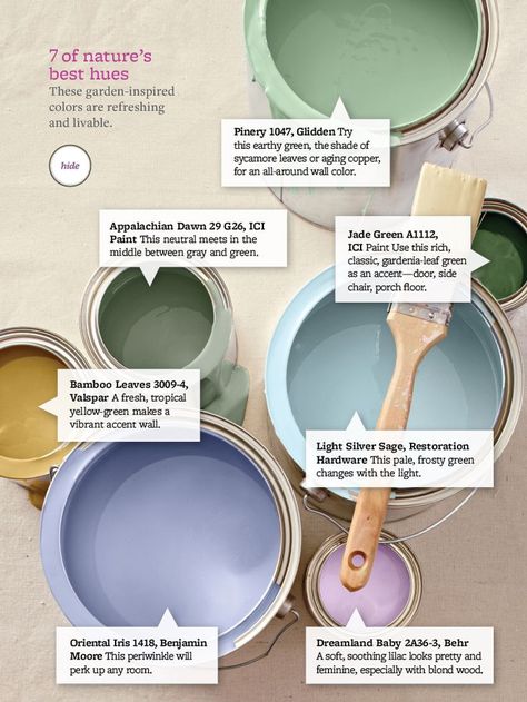 Best 25+ Beach color palettes ideas on Pinterest | Beach color ... Paint Combos, Home Decor Grey, Nature House, Best Interior Paint, Simple Home Decor, Grey Home, Interior Painting, Home Decor Baskets, Design Seeds