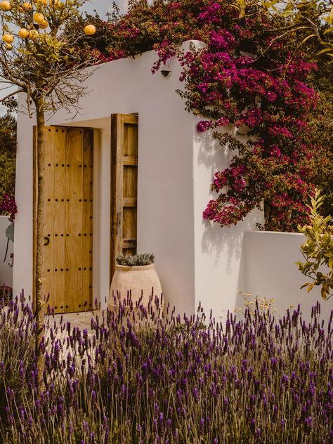 Natural habitats: Ibiza Interiors on bringing the outside in Ibiza Homes, Ibiza Interiors, Kelly Behun, Architectural Practice, Hospitality Projects, Mediterranean Garden, Interior Architect, Old Stone, Island Style