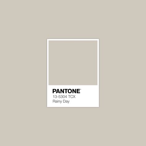 Discover Inspirational Pantone Color Palette · Lab 80,82 1,72 6,22 · sRGB 207 200 189 · HEX CFC8BD · Pantone · FHI Cotton TCX · PANTONE 13-5304 TCX Rainy Day Brown Pantone, Warm Tone Colors, Yellow Pantone, Pantone Palette, Color Pantone, Pantone Colour Palettes, Spring Color Palette, Fall Color Palette, Color Palette Design