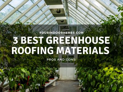 You can get fiberglass roof sheets like this one on Ebay! Green House Roof Ideas, Greenhouse Roof Material, Green House Roof, Greenhouse Roof, Fiberglass Roof, Indoor Herbs, Best Greenhouse, Best Roofing, Fibreglass Roof