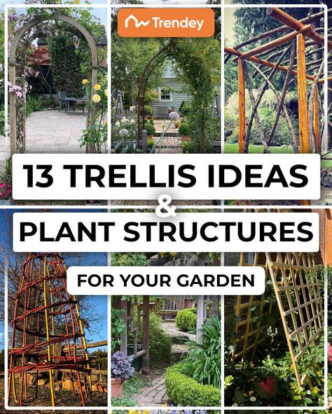 Trellis Ideas Easy Trellis, Diy Trellis Ideas, Teepee Trellis, Large Trellis, Building A Trellis, Small Trellis, Tomato Trellis, Plant Structure, Arbors Trellis