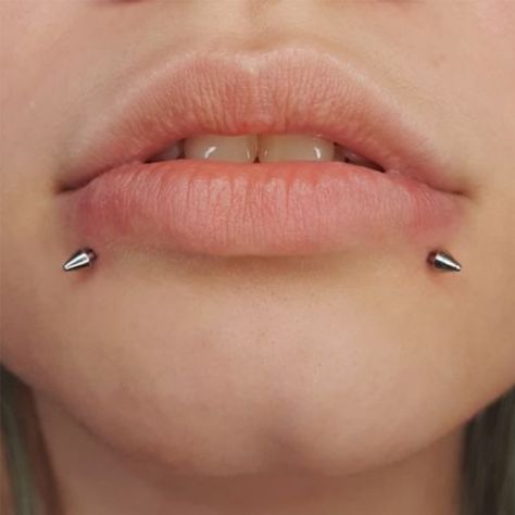 Piercing Ideas Lip, Lip Piercing Snakebites, Lip Ring Snake Bites, Snake Bite Piercing Jewelry, Snake Bite Piercing Lips, Single Snake Bite Piercing, Snake Bites Lip Piercing, Spike Snake Bites Piercing, Snakebite Piercing