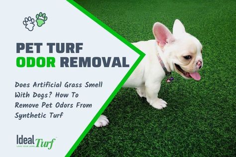 Get Rid Of Dog Pee Smell In Yard, Dog Turf Potty Area, How To Get Dog Urine Smell Out Of Artificial Turf, Turf Dog Yard, Turf Dog Potty, Dog Run With Artificial Turf, Artificial Turf Dog Potty Area, Dog Turf, Diy Artificial Turf